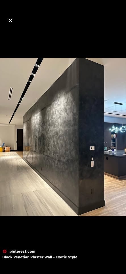 Modern interior hallway with large black Venetian plaster wall featuring textured finish, wooden flooring, and minimalist recessed lighting